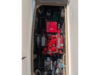 1984 Tollycraft 43 Motor Yacht | 43ft