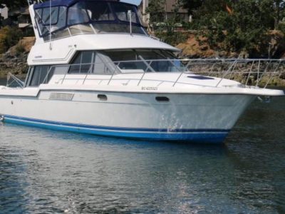 1994-carver-370-voyager-power-9948642-20250916184621506-1