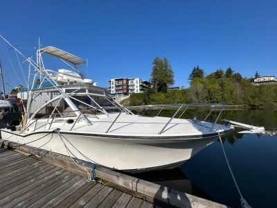 1999-carolina-classic-35-power-9770970-20250425200402129-1_XLARGE