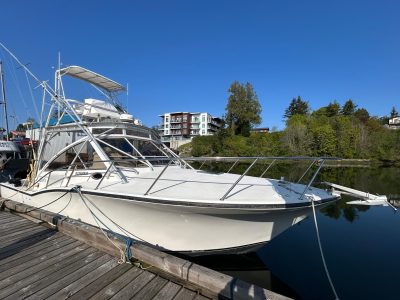 1999-carolina-classic-35-power-9770970-20250425200437149-1_XLARGE