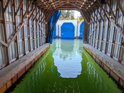 1999 Custom Boatshed 45ft | 45ft