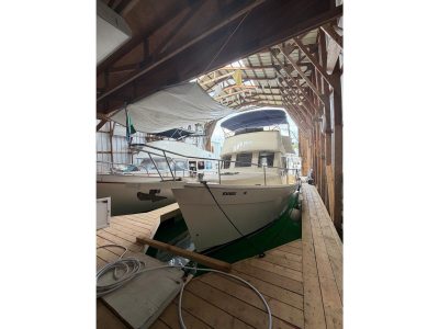 2000 Custom Boatshed 50ft | 50ft