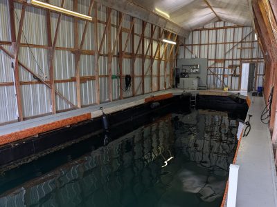2000 Custom Boatshed 60ft | 60ft