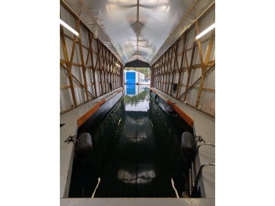 2000 Custom Boatshed 60ft | 60ft