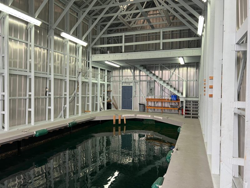 2009-lynnwood-boathouse-power-9690462-20250221134031883-1_XLARGE