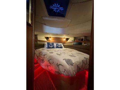 2014-ranger-tugs-r-31-power-9990191-20251026132440274-3