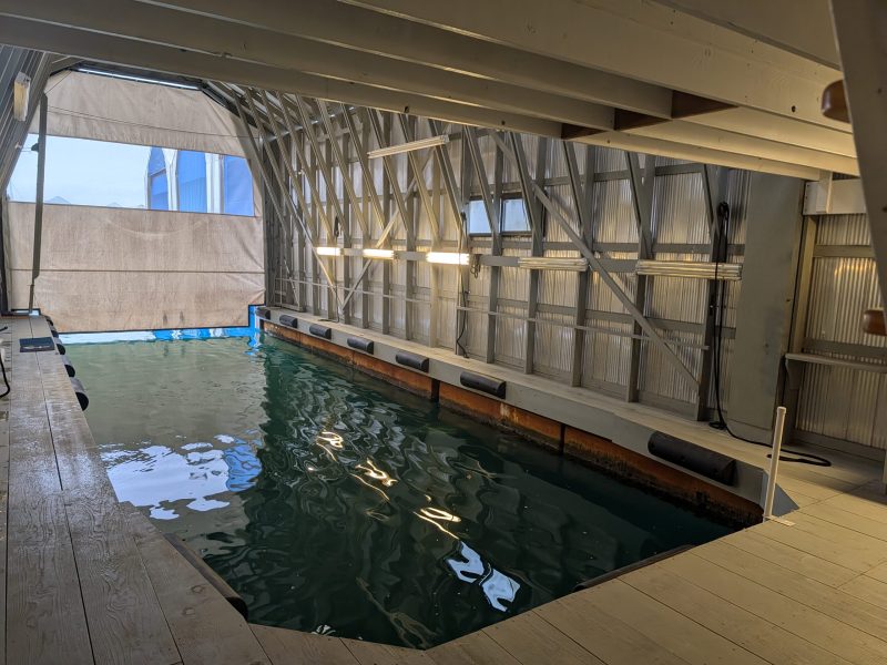 PXL_20260131_190925664